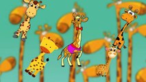 Finger Family Nursery Rhymes for Children Giraffe Cartoons Finger Family Children Nursery