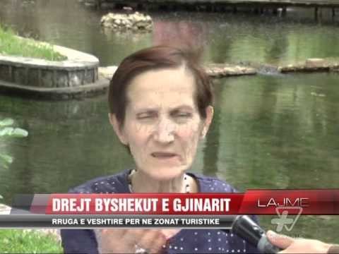 Rruga e vështirë drejt Byshekut e Gjinarit - News, Lajme - Vizion Plus