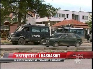Si u kthye Lazarati në "parajsën" e kanabisit - News, Lajme - Vizion Plus