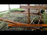 Lazarat, kontroll shtëpi më shtëpi - Top Channel Albania - News - Lajme