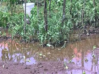 PERMBYTET TOROVICA LEZHE,FERMERET KERKOJNE HAPJEN E KANALEVE TE KULLIMIT LAJM