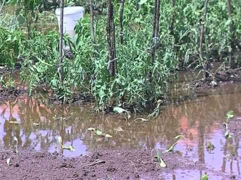 PERMBYTET TOROVICA LEZHE,FERMERET KERKOJNE HAPJEN E KANALEVE TE KULLIMIT LAJM