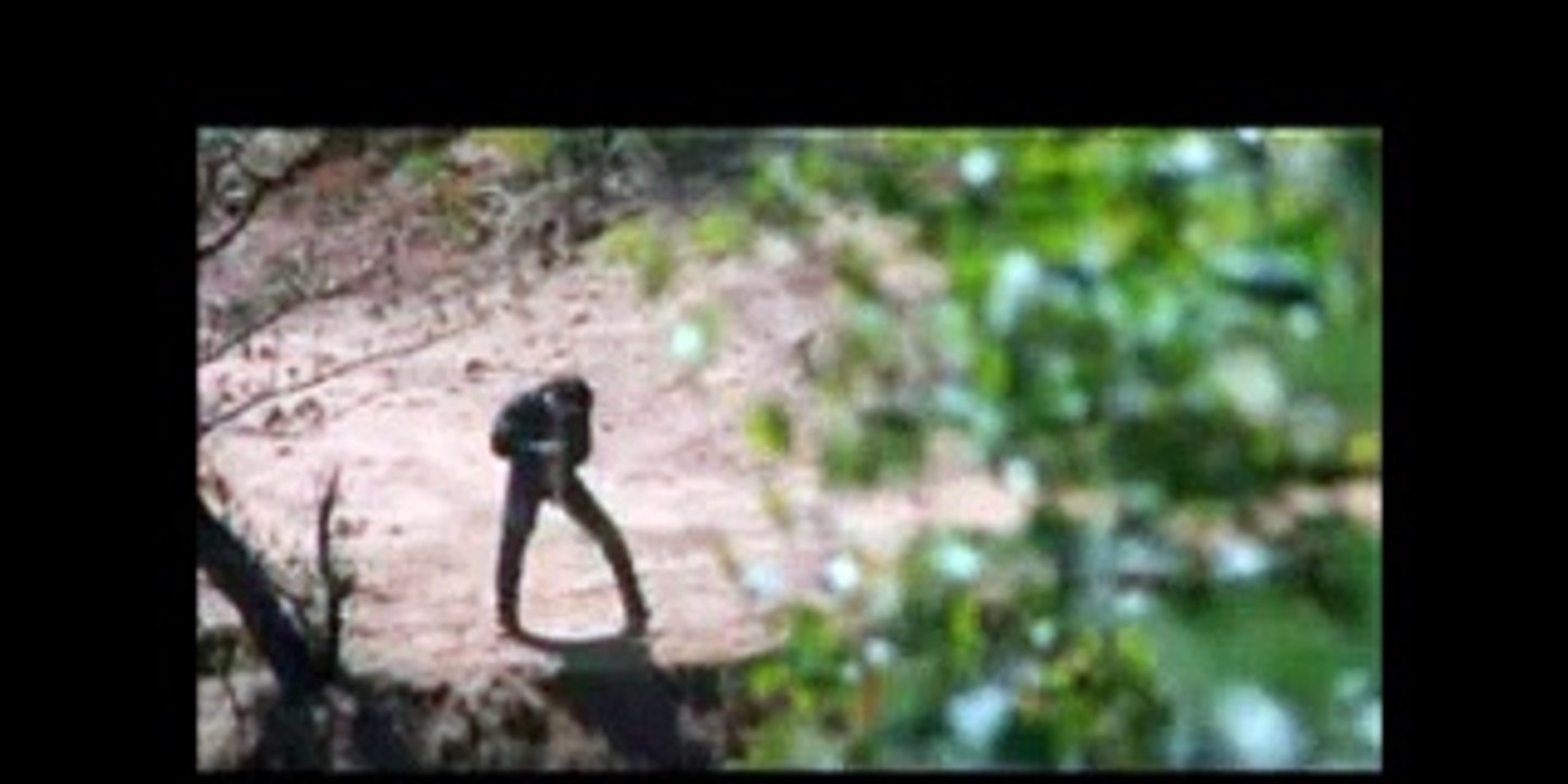 Dhere dhere ap mere full orignal video sond
