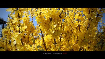Juste après l'hiver...