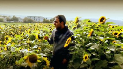 Bülent Kenan Rindo min 2014 HD Kürtce Müzik