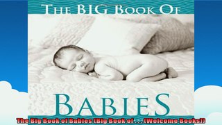 The Big Book of Babies Big Book of    Welcome Books