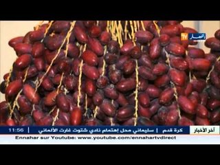 إفتتاح أول معرض للبلح الفلسطيني  بـ " غزة "  تمور من كل نوع وشكل