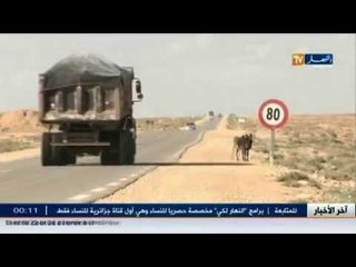 تيارت : انتشار الحيوانات الضالة الخاصة بالتهريب تغزو الطرق الجنوبية