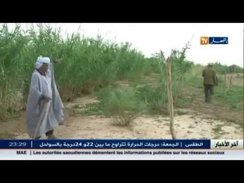 واد المنحر خطر يهدد الأراضي الفلاحية.. و الفلاحون يطالبون بالحماية