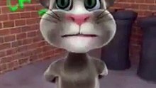 funny tom