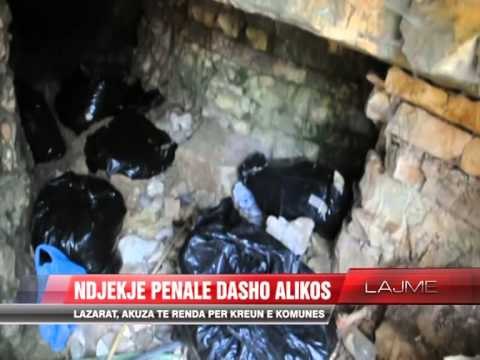 Ndjekje penale Dasho Alikos - News, Lajme - Vizion Plus