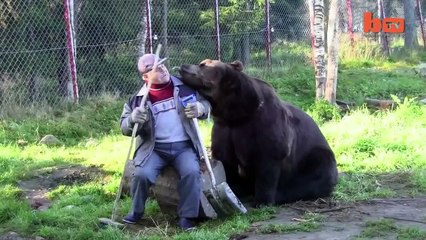 Настоящая идилия человека и медведей