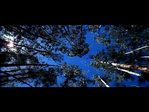 천안 출장마사지,010-8690-5571,천안 출장안마