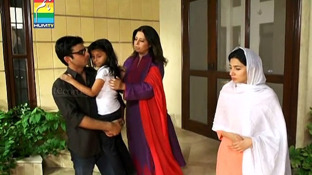 Humsafar Hum TV Drama Episode 20 video Dailymotion