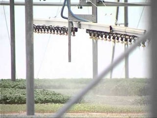 PAKETA E RE E MASAVE HEQJE TARIFASH DHE LEHTESI NE DOGANA PER SEKTORIN BUJQESOR LAJM