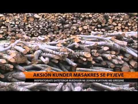 Aksion kundër masakrës së pyjeve - Top Channel Albania - News - Lajme