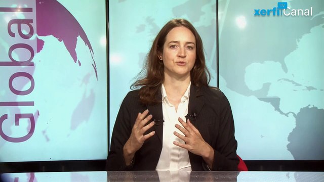 Kathryn McFarland, Xerfi Canal Les groupes et l'industrie hôtelière dans le monde