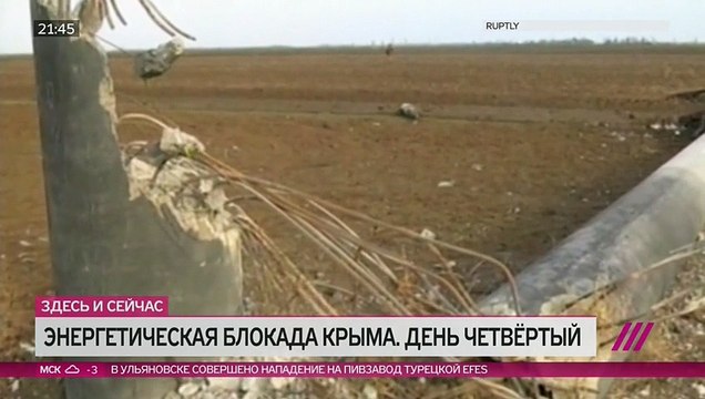 Кто взорвал ЛЭП, и через сколько лет электричество в Крыму будет российским