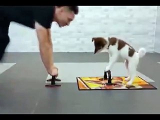 Workout like this....with Dog--Like & Share