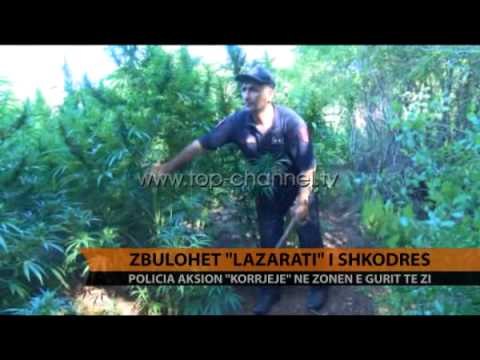 Zbulohet Lazarati i Shkodrës - Top Channel Albania - News - Lajme