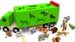 Trucks for children. Learn wild animals in English! Cartoons for babies 1 year