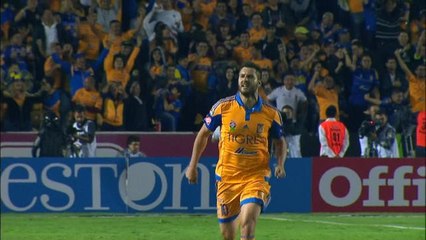 Скачать видео: Tigres - La bicyclette de Gignac