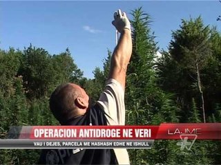 Operacion antidrogë. Parcela me hashash edhe në veri - News, Lajme - Vizion Plus