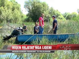 Aksion kundër peshkimit te paligjshëm - News, Lajme - Vizion Plus