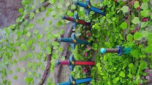 蜀山戰紀第二季 EP08