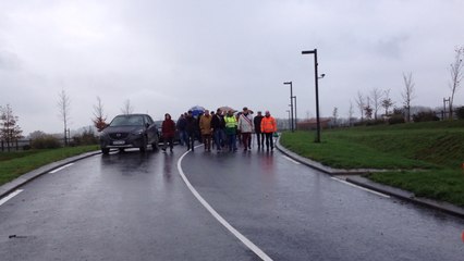 Les pro-GDE se manifestent sur le site