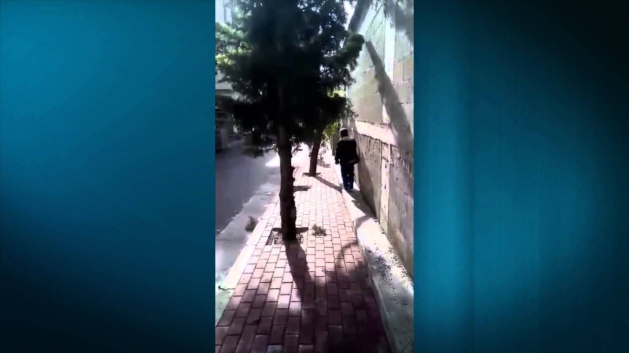 Cudira shqiptare - Ja cfare ndodh ne Lezhe!!!