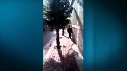 Cudira shqiptare - Ja cfare ndodh ne Lezhe!!!