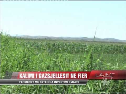 Kalimi i gazsjellësit TAP në Fier - News, Lajme - Vizion Plus