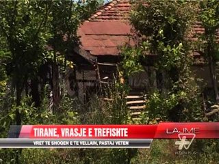 Video herunterladen: Vrasje e trefishte në Pezë - News, Lajme - Vizion Plus