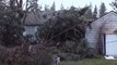 Storm Sends Tree Crashing Down Onto Washington Home