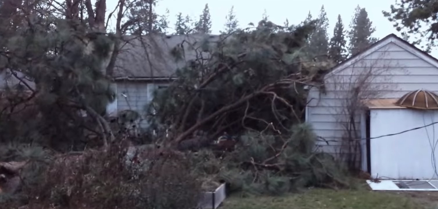 Storm Sends Tree Crashing Down Onto Washington Home