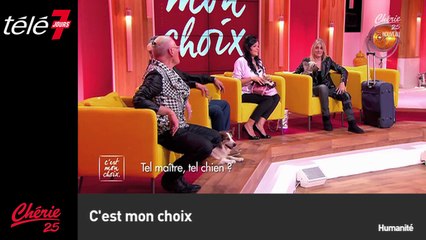 Le zapping du 26/11 : Le meilleur pâtissier (M6) – Le drapeau du Royaume-Uni selon Anissa