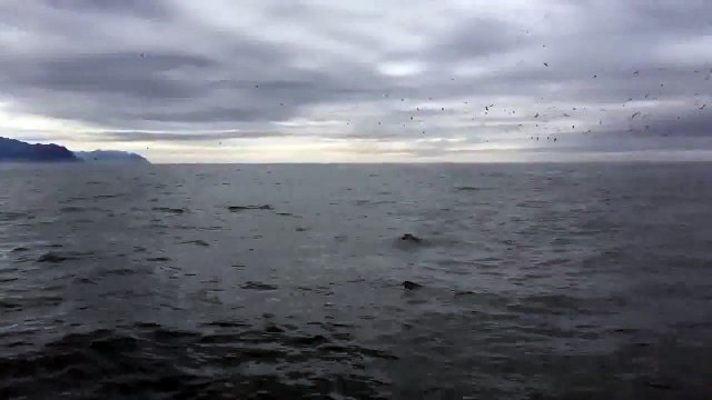 Никогда не знаешь, где тебе повезет Когда вы увидите, кого встретил этот парень, то будете в востор