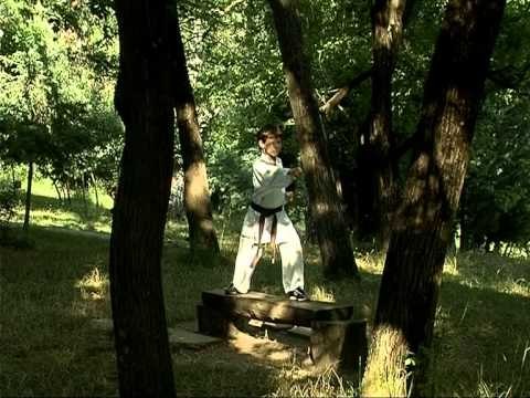 DJALI ME 44 MEDALJE ARI TALENTI 11 VJECAR NGA ELBASANI KAMPION I KARATEJE NE DISA TURNE LAJM