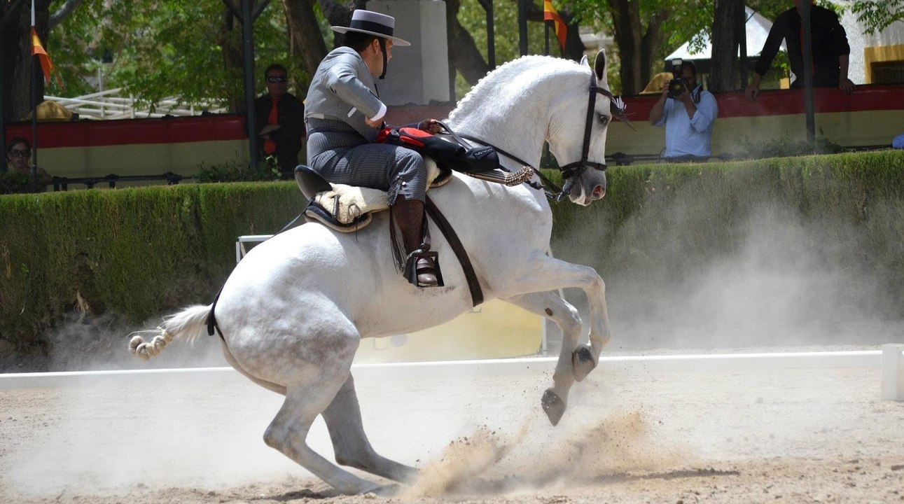 Juan Fernando Holgado Estrada y "Caramba"