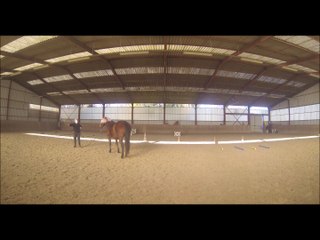 2015.11.26.d.manege.dipti