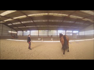 2015.11.26.a.manege.tenebra