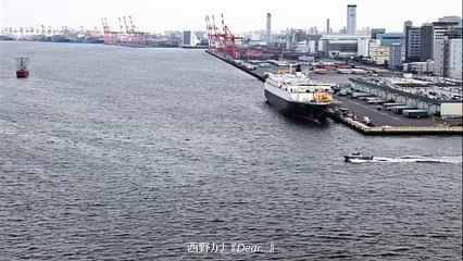 西野カナ - Dear.(private video)