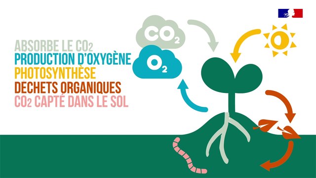 4 pour 1000, les sols agricoles pour la sécurité alimentaire et le climat