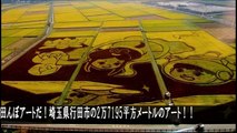 【衝撃】ギネス級田んぼアートが凄い件www（スターウォーズ、ウル