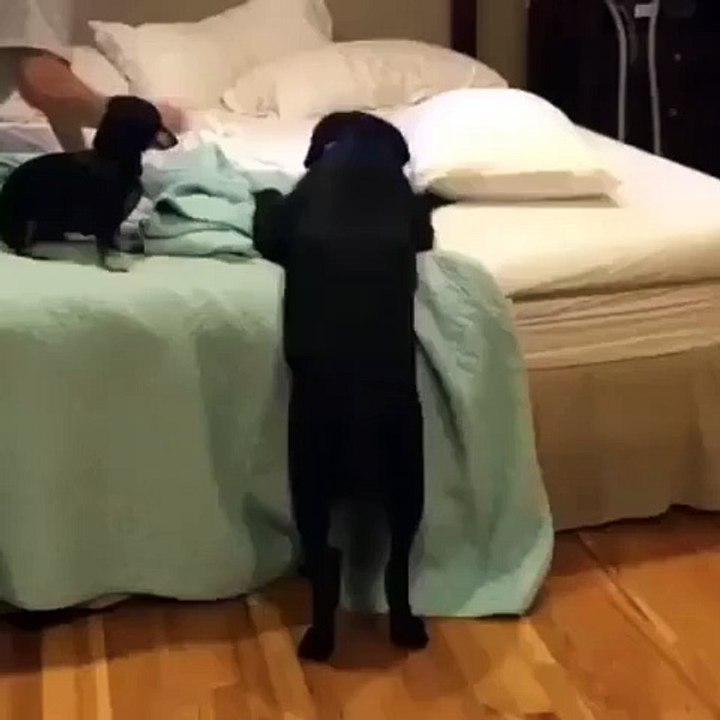 When you eat too much