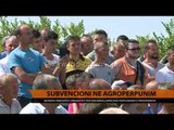 Subvencionet në agro-përpunim - Top Channel Albania - News - Lajme