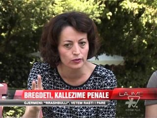 Bregdeti, kallëzime penale - News, Lajme - Vizion Plus