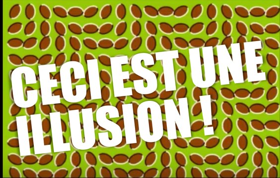 ILLUSIONS D'OPTIQUE qui retournent le cerveau !