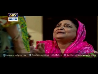 Mere Jevan Sathi Episode 18 – 26th November 2015 on ARY Digital